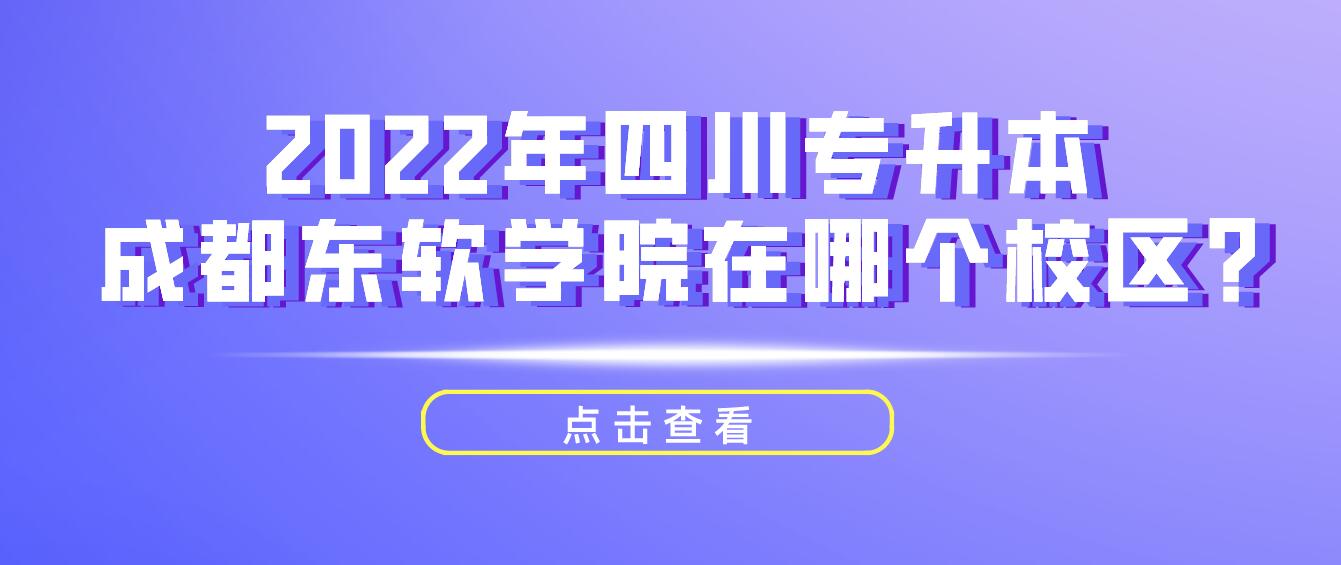 2022年四川专升本成都东软学院在哪个校区?